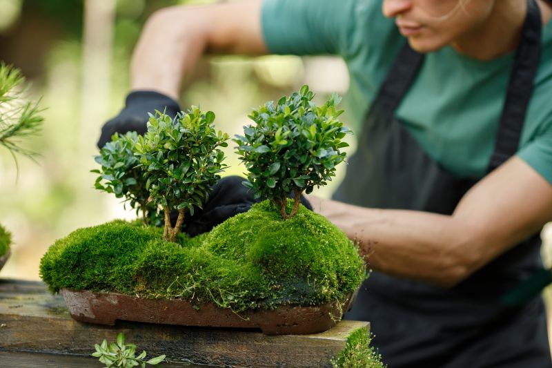 Bonsai Branch Pruning