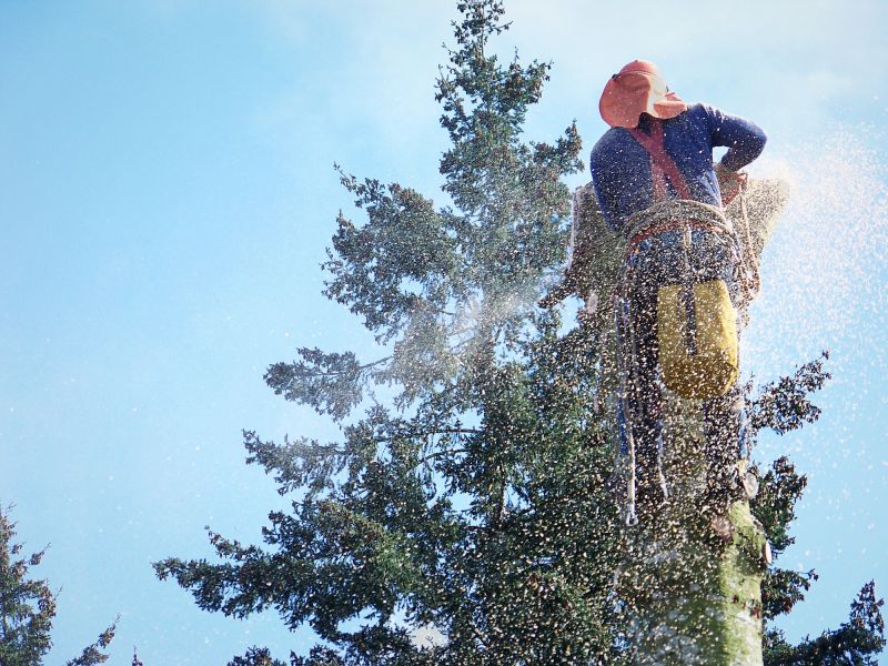 Commercial Tree Removal in Pottstown, PA