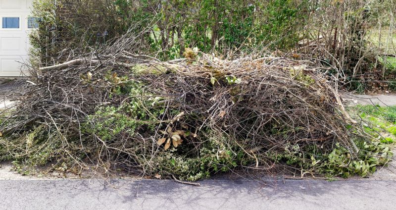 Pruning Debris Removal