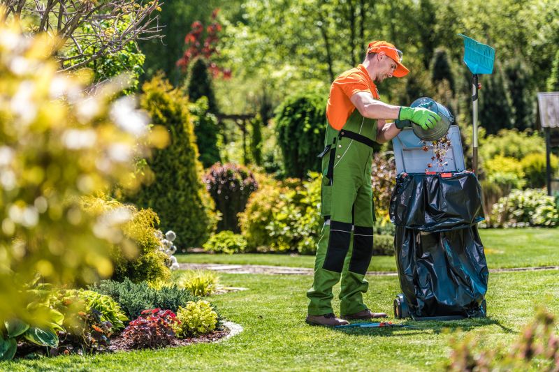 Professional Leaf Removal Benefits