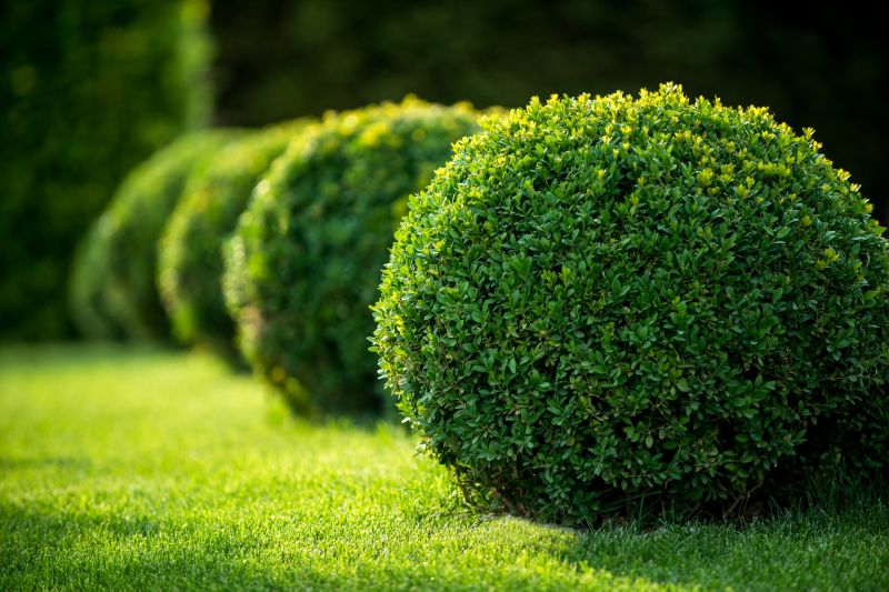 Symmetrically Shaped Shrubs