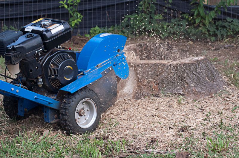 Stump Grinding Service in Waldorf, MD